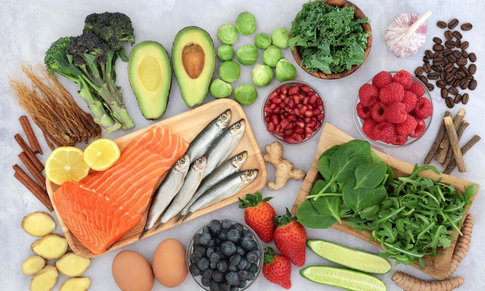 Et udvalg af næringsrige råvarer som fisk, grøntsager, bær og avocado, der inspirerer til sund kost og madplaner.